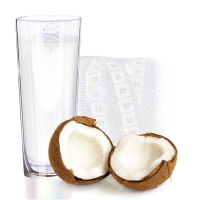 Kokosmilch Nuss Eiweiß Isolat Protein P