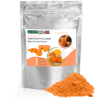 Lebensmittelfarbe Beta-Carotin orange Pulver 1000g 1